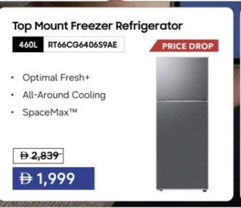 Samsung Top Mount Freezer Refrigerator RT66CG6406S9AE
